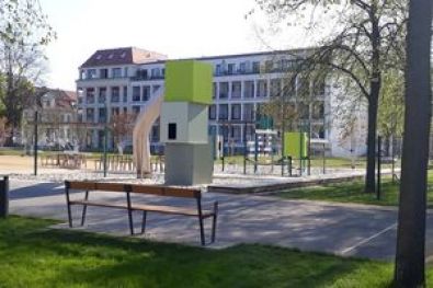 Dortustr. u. Yorkstr. Plantage -Potsdam 1 2018-2019