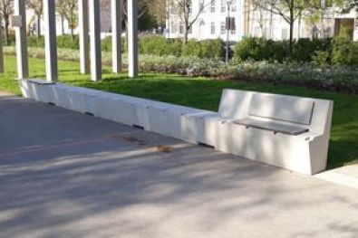 Dortustr. u. Yorkstr. Plantage -Potsdam 3 2018-2019