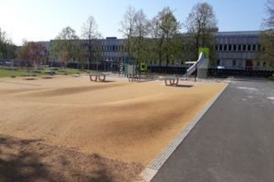 Dortustr. u. Yorkstr. Plantage -Potsdam 4 2018-2019