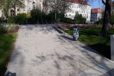 Dortustr. u. Yorkstr. Plantage -Potsdam 5 2018-2019