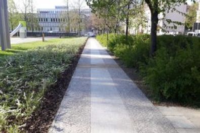 Dortustr. u. Yorkstr. Plantage -Potsdam 6 2018-2019