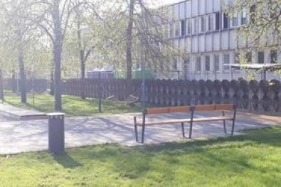 Dortustr. u. Yorkstr. Plantage -Potsdam 7 2018-2019