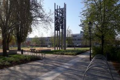 Dortustr. u. Yorkstr. Plantage -Potsdam 8 2018-2019