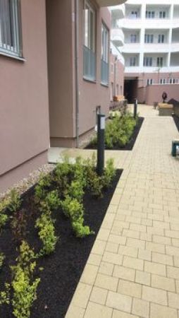 Rigaer Straße Berlin 2019 2