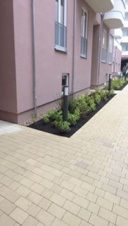 Rigaer Straße Berlin 2019 3