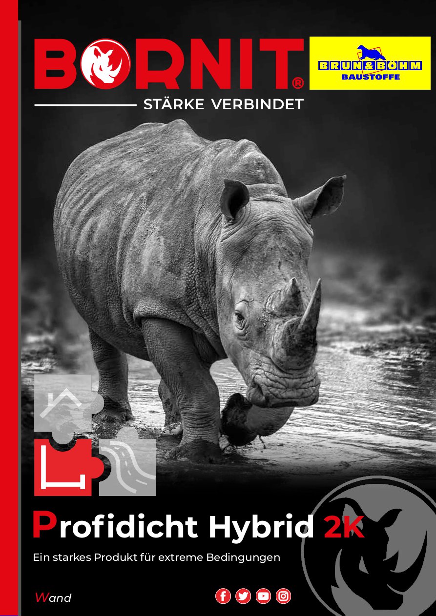 Bornit Profidicht Hybrid 2K LKW